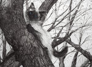 Dans le pommier, 2006 - Vincent Alexander Booth